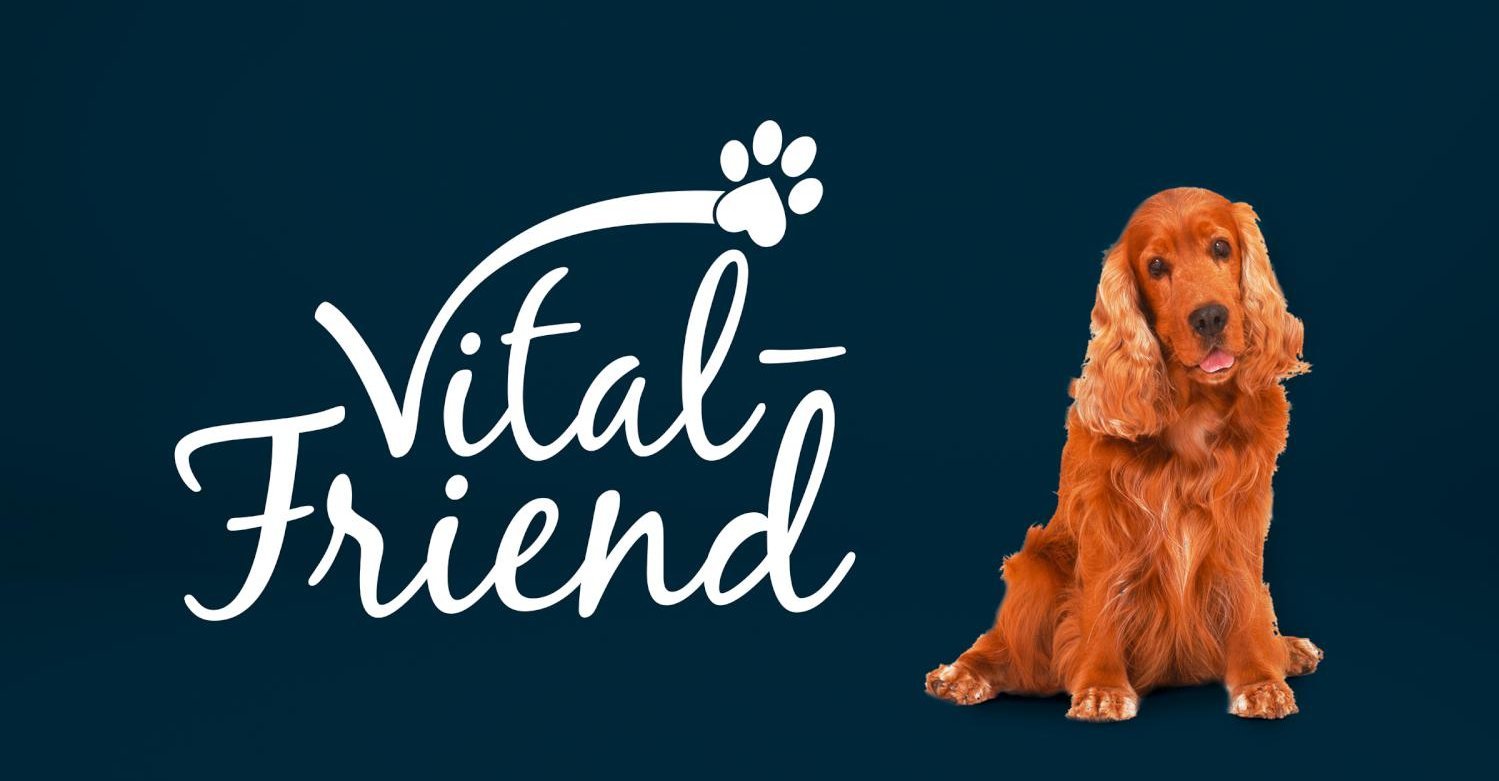 Optima Pharma Vital Friend Augenpflege Hunde Grafikdesign Logodesign Verpackungsdesign Branding-Strategie