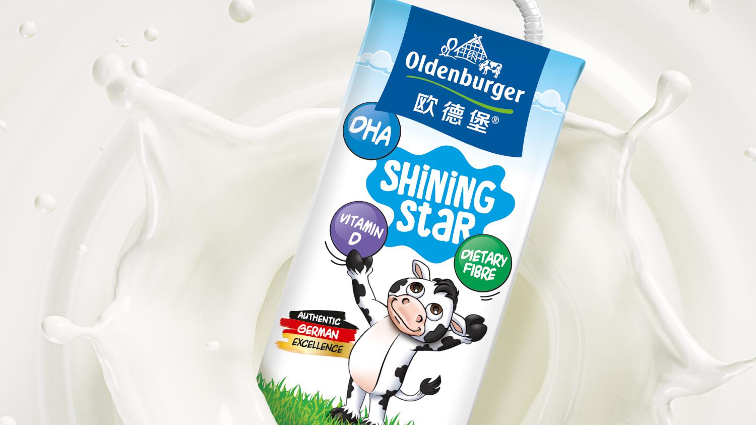 Oldenburg DMK Shining Star Kids Milk Launch Graphic Design Line Extension Naming Packaging Design Logo Design Line Extension